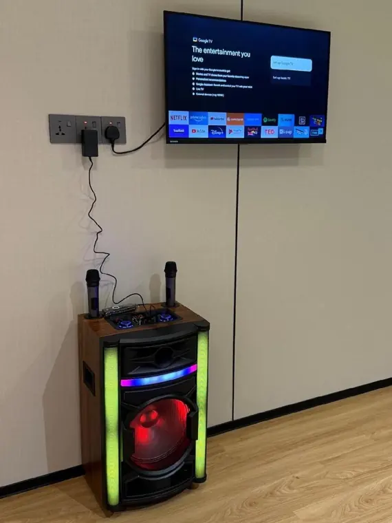 Smart TV and karaoke speaker with two wireless microphones in a chalet cabin