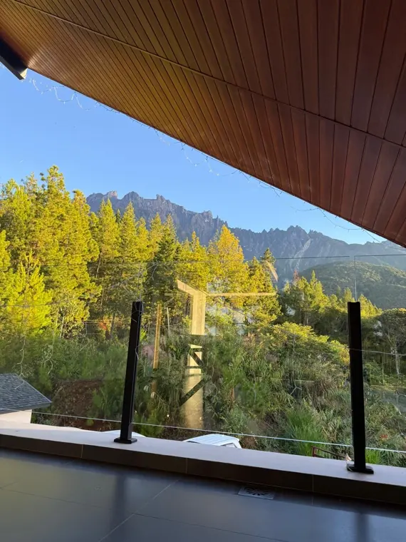 Mount Kinabalu from Saturn's balcony, pines lit by afternoon sun