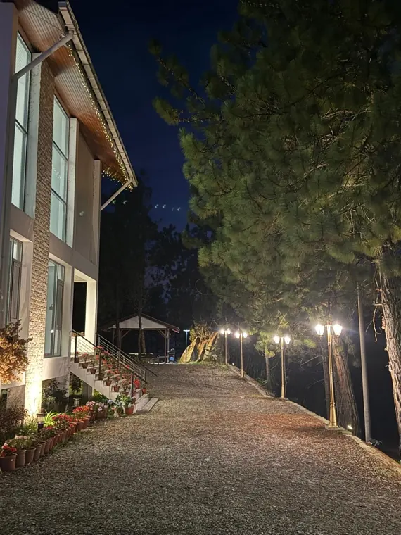 Saturn's lamp-lit private driveway at night